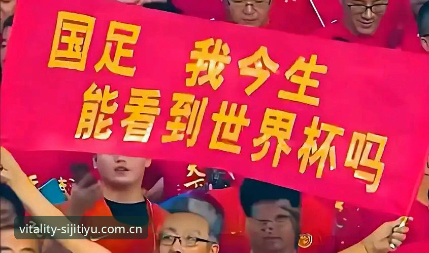 2030世界杯扩军至66队全面解析：中国男足重返舞台的最佳时机？