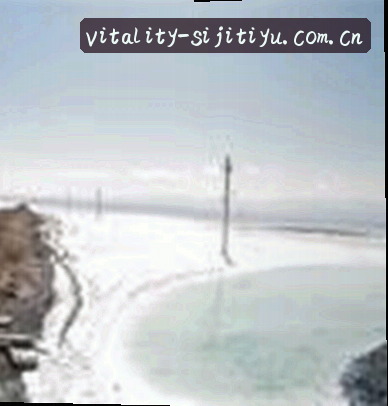 赵凯